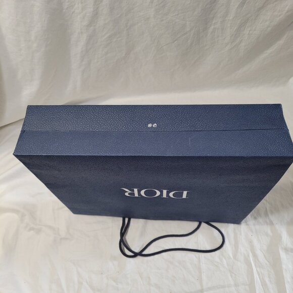 Dior Blue Textured Gift Bag Empty Logo Spell Out Bug Reusable Decorative Craft - Picture 9 of 15